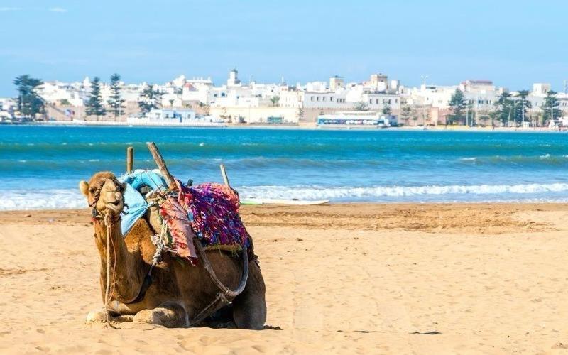 Appartement Essaouira Proche De La Mer Εξωτερικό φωτογραφία