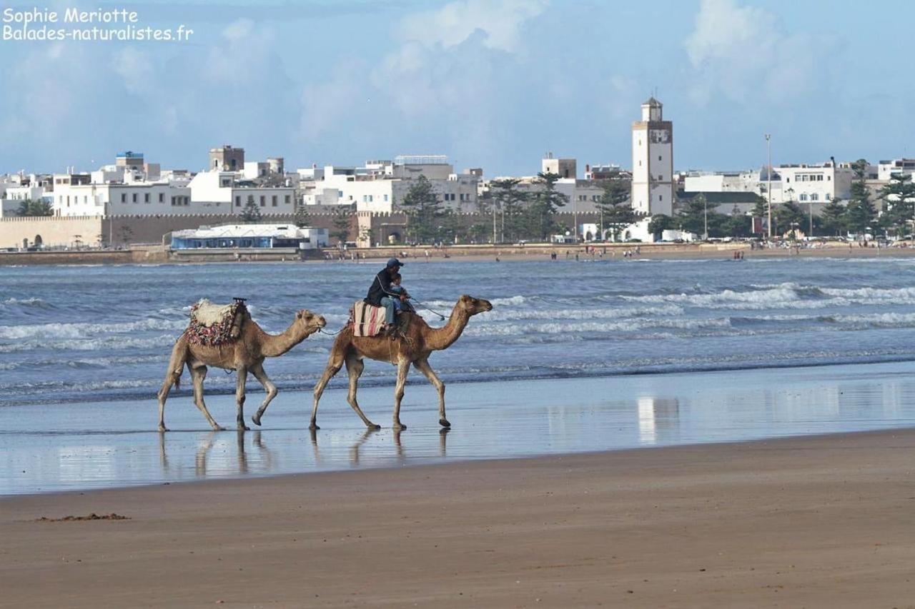 Appartement Essaouira Proche De La Mer Εξωτερικό φωτογραφία
